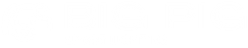 BigPig-Logo-2-e1754983654241